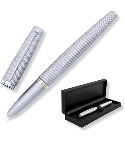 Amazon | DIPLOMAT ディプロマット 万年筆 アエロ マットシルバー 14K